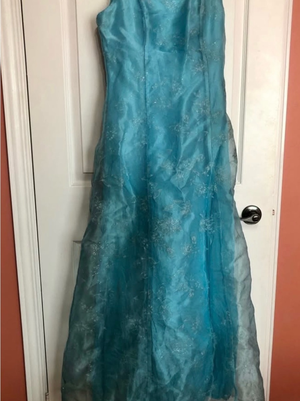 Aqua Blue Sparkle Organza Formal Dress for Women